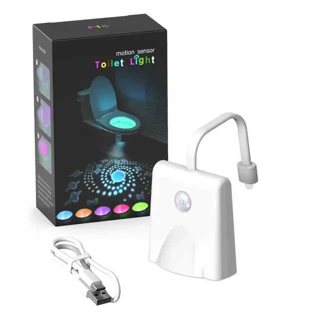 Toilet motion light